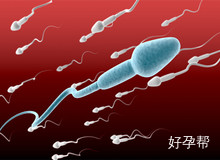 河北省沧州市妇幼保健院人工授精大约多少钱?最新费用明细表!