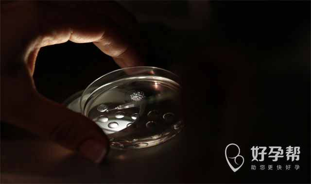 河北省张家口市做人工授精哪家医院口碑好?张家口花生妇产医院好吗?