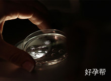 河北省张家口市做人工授精哪家医院口碑好?张家口花生妇产医院好吗?