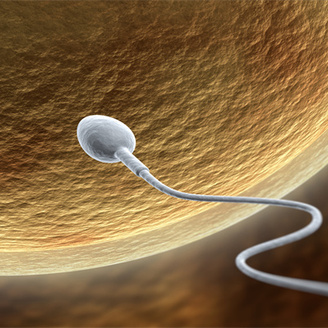 揭秘：做人工授精整体流程解析及各个环节费用价目表