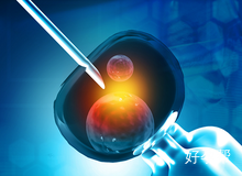 专家揭秘：试管婴儿优质胚胎移植——选择养囊好还是冷冻好?