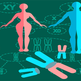 染色体问题可以做试管婴儿吗?权威生殖专家在线解答!