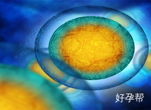 备孕知识：女性排卵期是什么时候?如何监测排卵期?