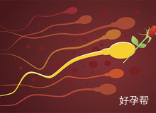 揭秘：什么是人工授精?人工授精全过程详细解析，一文读懂!