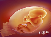 广东省东莞市试管婴儿成功率最高的医院名单汇总-2025最新统计