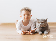 45岁大龄可以做试管婴儿吗?大龄做试管哪家医院成功率比较高?