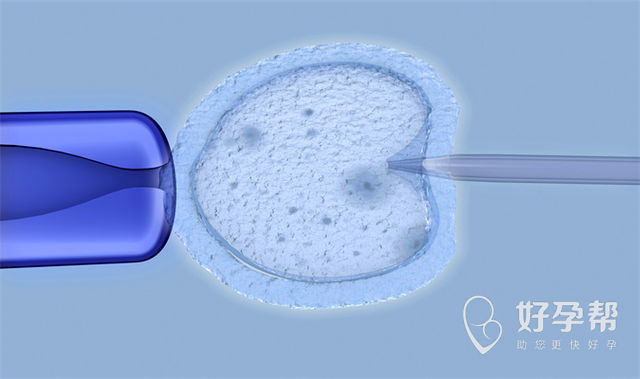 2025年泰国试管成功率较高的3家医院名单及试管成功率全面解析