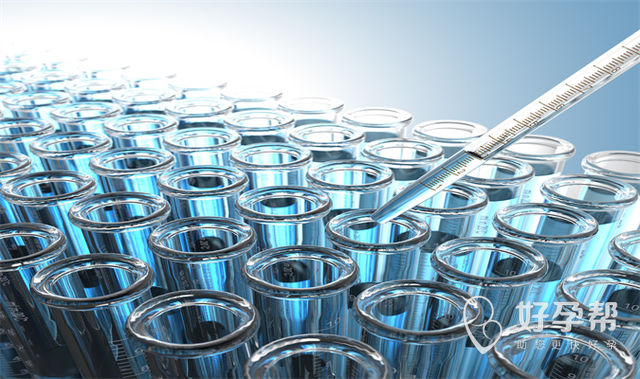 一文解读试管婴儿更容易生男孩还是女孩?