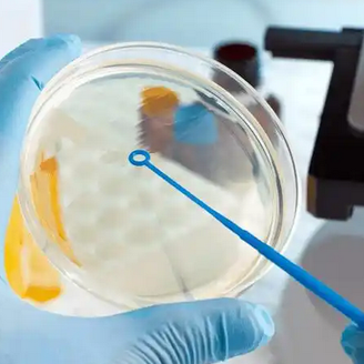 解析!做人工授精好还是做试管好?到底应该怎么选择?