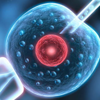 揭秘！河北省邢台市试管婴儿正规生殖机构排名靠前名单