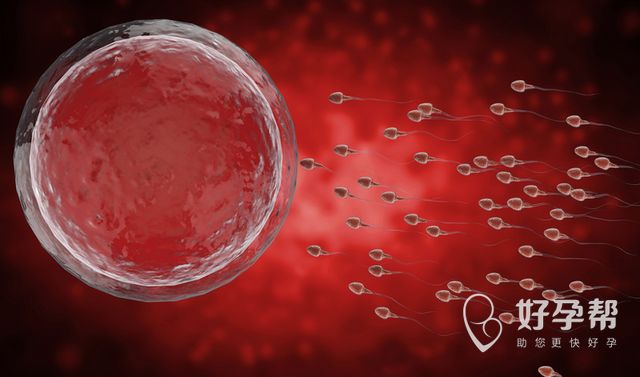 泰国拉玛3三代试管婴儿费用明细一览(2025年最新)