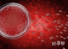 泰国拉玛3三代试管婴儿费用明细一览(2025年最新)