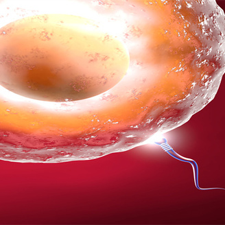 最新!2025年山东省试管婴儿医院哪家强?成功率Top10医院名单公开!