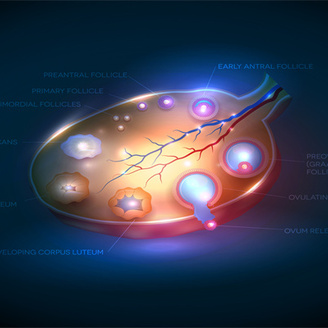 关于宫腔镜术后护理的10个注意细节!权威解读!