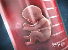 三代试管婴儿的缺陷：全面了解后再做选择