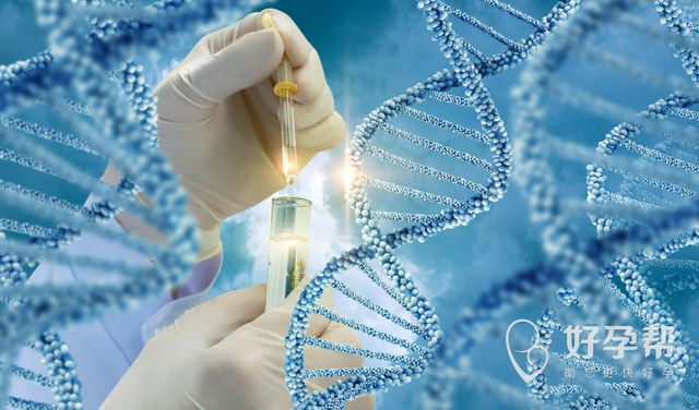 试管婴儿成功率详解：从10%到30%的关键因素与周期选择