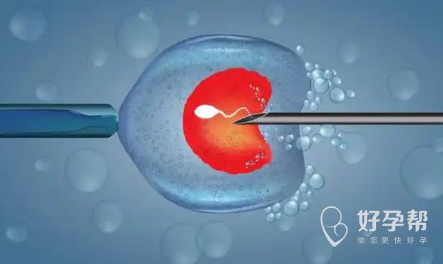 天津试管婴儿医院哪家强?盘点三甲医院高成功率排行榜