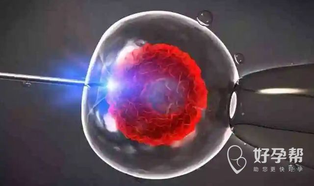 2025年试管费用一览：人工授精与试管婴儿全部花费参考