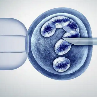 泰国拉玛3试管婴儿成功率解析：一次成功怀孕的几率有多高?