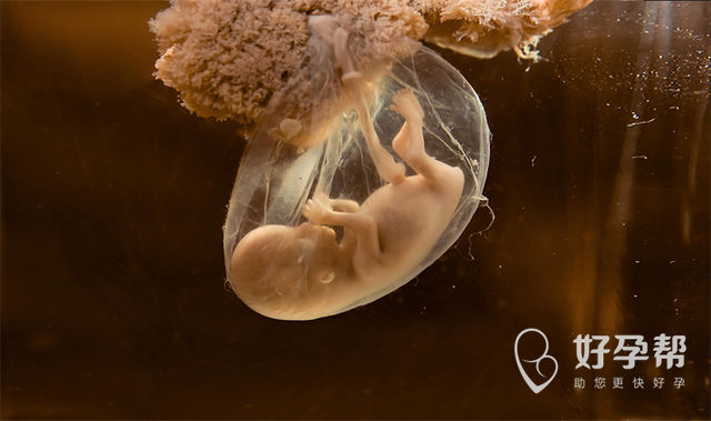 2025年泰国试管婴儿前检查流程及费用，多家生殖医院成功率对比