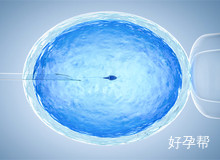 输卵管积水做试管婴儿成功率高吗?先做这个手术成功率翻3倍