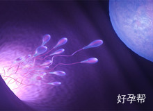 去泰国做试管婴儿语言不通怎么办?泰国试管婴儿流程要点总结