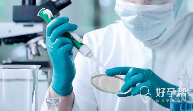 山东做试管婴儿最好的医院排名一览表!附医院介绍及费用价目表!