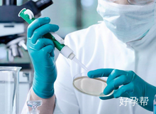 山东做试管婴儿最好的医院排名一览表!附医院介绍及费用价目表!