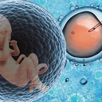 国内试管婴儿医院推荐：前十名榜单与费用解析