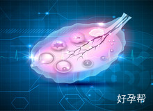 做三代试管移植后胎停有什么反应吗?胎停会影响下次成功率吗?
