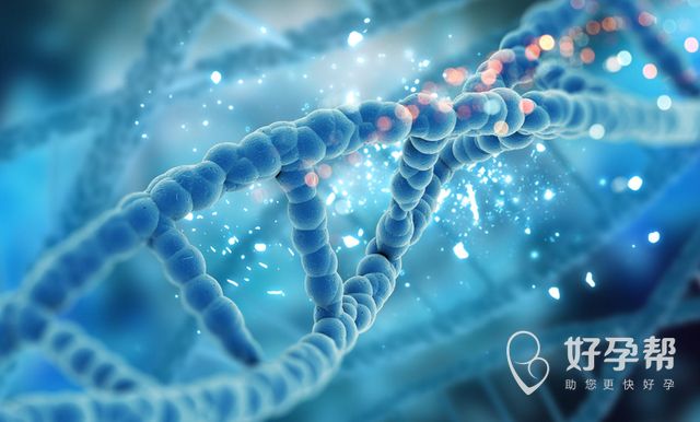 河北省涿州市试管婴儿医院排行榜——TOP3医院名单公布