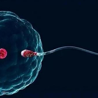 男性患有无精症的主要原因是什么?可以做试管婴儿吗?