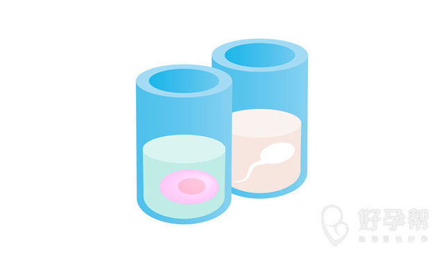 偏胖女性做试管婴儿成功率低于40%?BMI这个红线千万别碰!