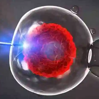 一文揭秘!山东省青岛市试管婴儿包成功的医院机构有哪些?