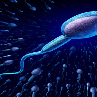 男性试管检查精子怎么查?男性精子质量差会影响生育吗?