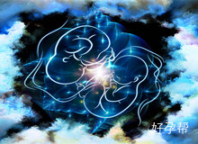 科普:囊胚移植的成功率有多高?囊胚移植的费用需多少?