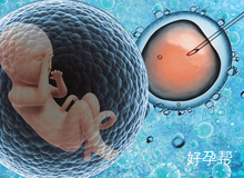 2025北京试管医院名单大全及试管婴儿成功率排名前10医院汇总