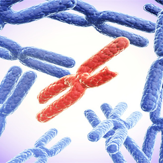 石家庄市做试管婴儿选公立医院好还是私立医院好?附试管婴儿医院名单!