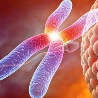 南京医科大学附属第二医院做试管怎么样?试管成功率能达到多少?