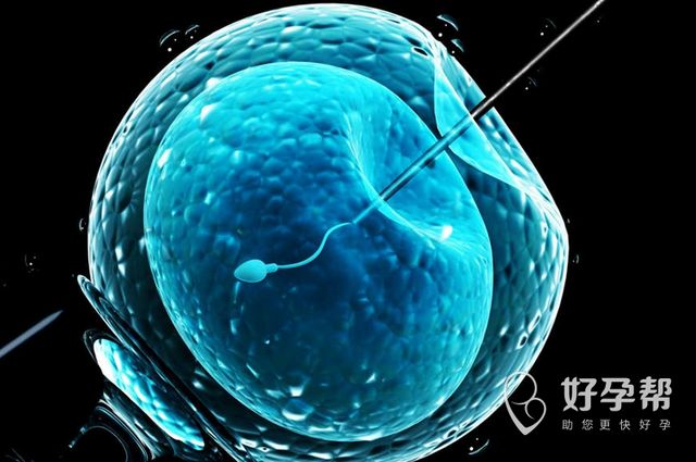 备孕指南：做试管男性精子检查最佳时间及注意事项