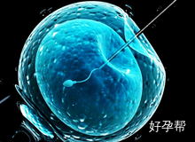 备孕指南：做试管男性精子检查最佳时间及注意事项