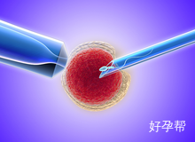 第三代试管技术无法筛查染色体?备孕需警惕哪些风险!