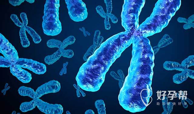 抗体检测怎么做？全面解析检测步骤与常用方法