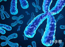 抗体检测怎么做？全面解析检测步骤与常用方法