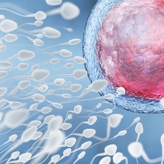 第二代试管婴儿着床高不高？2025年最新数据与影响因素全解析