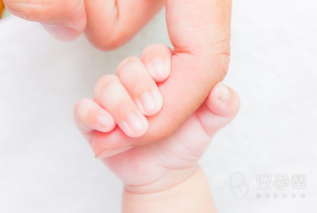 2025濮阳试管婴儿医院推荐：十家正规机构全解析