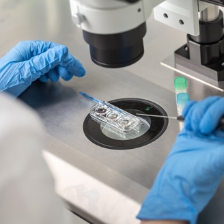 2025烟台毓璜顶医院人工受精成功率突破50%？真实数据深度解析