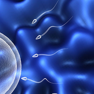 精子畸形率高能否做试管婴儿？2025最新临床指南解析