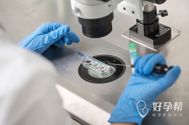 山东省临沂市人民医院试管婴儿成功率高吗？2025真实数据深度解析