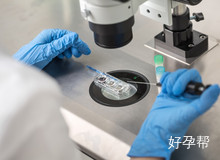 山东省临沂市人民医院试管婴儿成功率高吗？2025真实数据深度解析